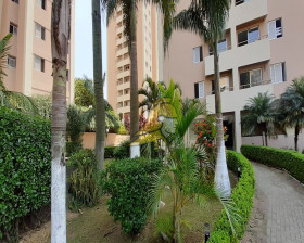 Apartamento com 3 Quartos à Venda, 65 m² em Jardim Jaqueline - São Paulo