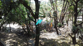 Fazenda à Venda, 2.000 m² em Casa Amarela (charneca) - Betim