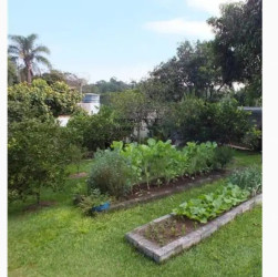 Imóvel com 4 Quartos à Venda, 580 m² em Vila Thomazina - Campo Limpo Paulista