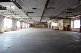 Imóvel Comercial para Alugar,  em Limão - São Paulo