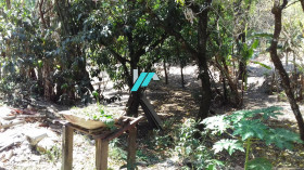 Fazenda à Venda, 2.000 m² em Casa Amarela (charneca) - Betim