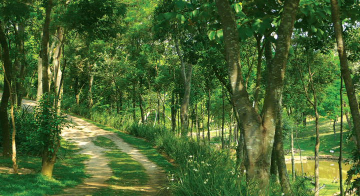 Imagem do condomínio Condomínio Nature Village 2 - Centro - Jundiaí - SP