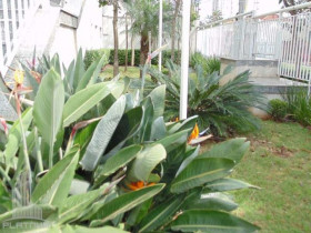 Apartamento com 2 Quartos para Alugar, 69 m² em Vila Moinho Velho - São Paulo
