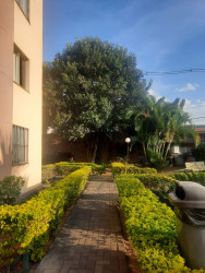 Apartamento com 2 Quartos à Venda, 48 m² em Vila Santa Cruz (Zona Leste) - São Paulo