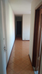 Apartamento com 2 Quartos à Venda, 55 m² em Vila Do Encontro - São Paulo