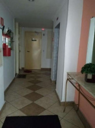 Apartamento com 2 Quartos para Alugar, 52 m² em Vila Luzita - Santo André