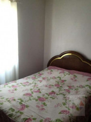 Apartamento com 2 Quartos à Venda, 50 m² em Parque São Luís - São Paulo
