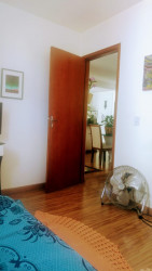 Apartamento com 2 Quartos à Venda, 53 m² em Vila Santa Teresinha - São Paulo