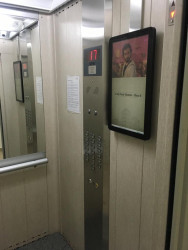 Apartamento com 3 Quartos para Alugar, 65 m² em Vila Prudente - São Paulo