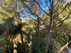 Apartamento com 2 Quartos à Venda, 50 m² em Demarchi - São Bernardo Do Campo