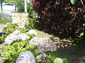 Casa com 4 Quartos à Venda, 570 m² em Várzea - Teresópolis