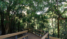 Apartamento com 3 Quartos à Venda, 75 m² em Jardim Ampliação - São Paulo