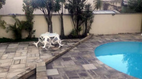 Apartamento com 2 Quartos à Venda, 60 m² em Saúde - São Paulo
