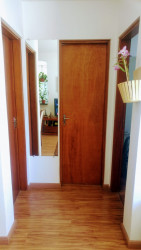 Apartamento com 2 Quartos à Venda, 53 m² em Vila Santa Teresinha - São Paulo