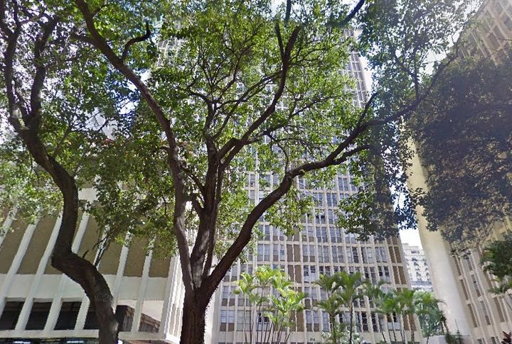 Imagem do condomínio Condomínio - Riviera Higienópolis - São Paulo - SP