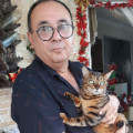 corretor de imóveis