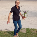 corretor de imóveis